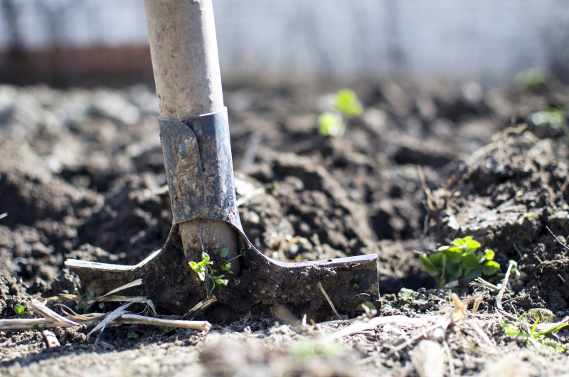 jardinerie-ST LAURENT DU VAR-min_equipment-2047314